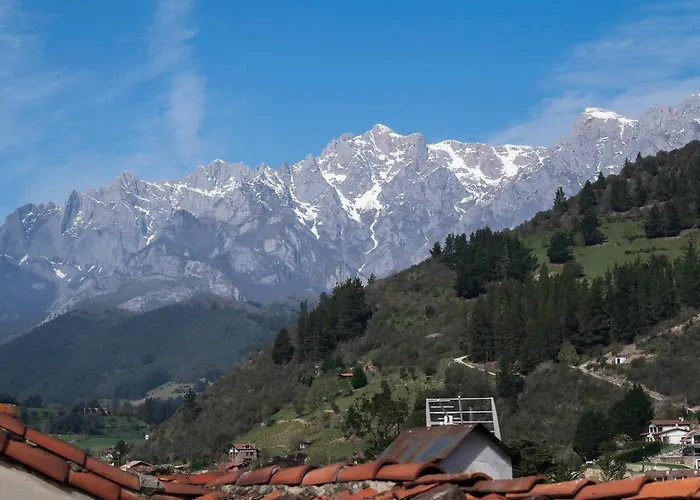 Apartament Miravilla 25 1